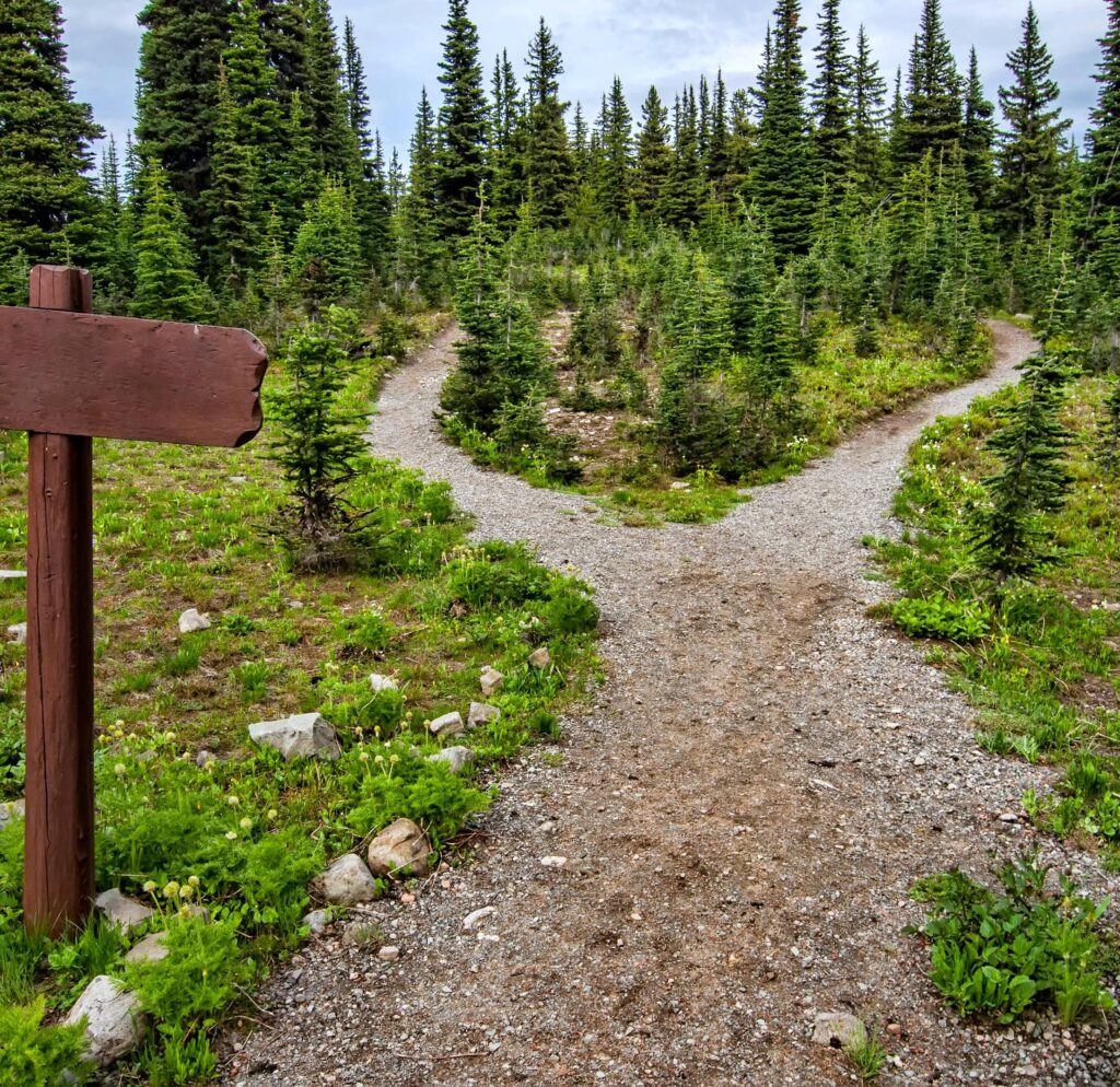 pexels souvenirpixels 1578750 cropped