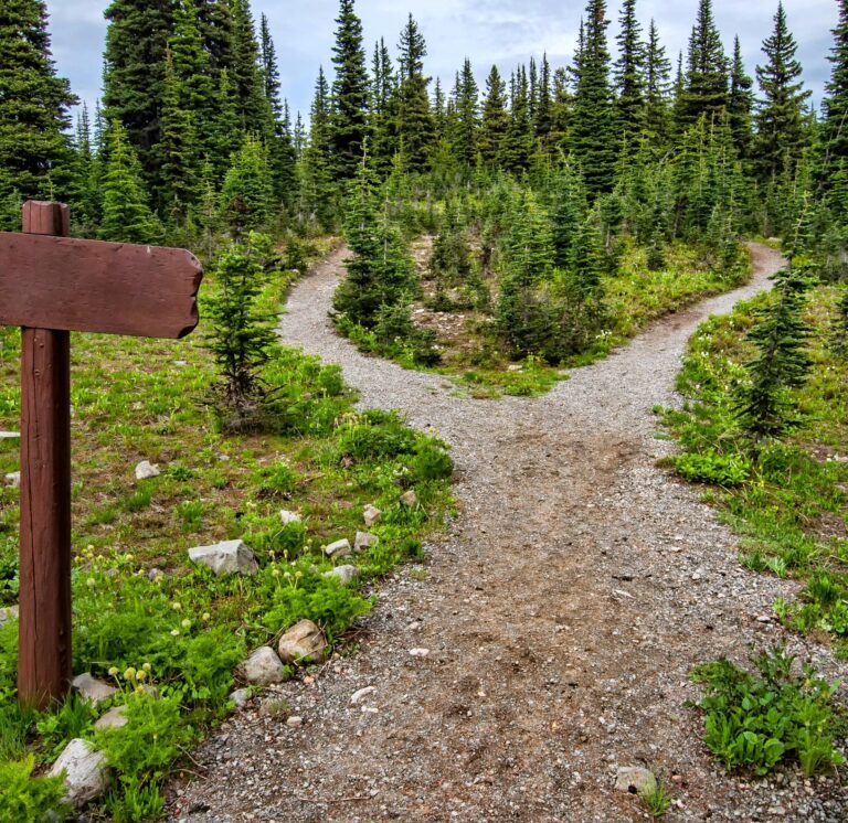 pexels souvenirpixels 1578750 cropped